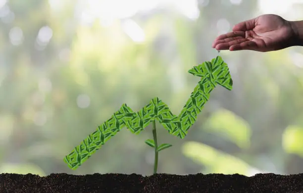 Long-term Profitability