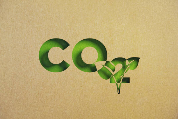 Carbon Accounting and Carbon Credits