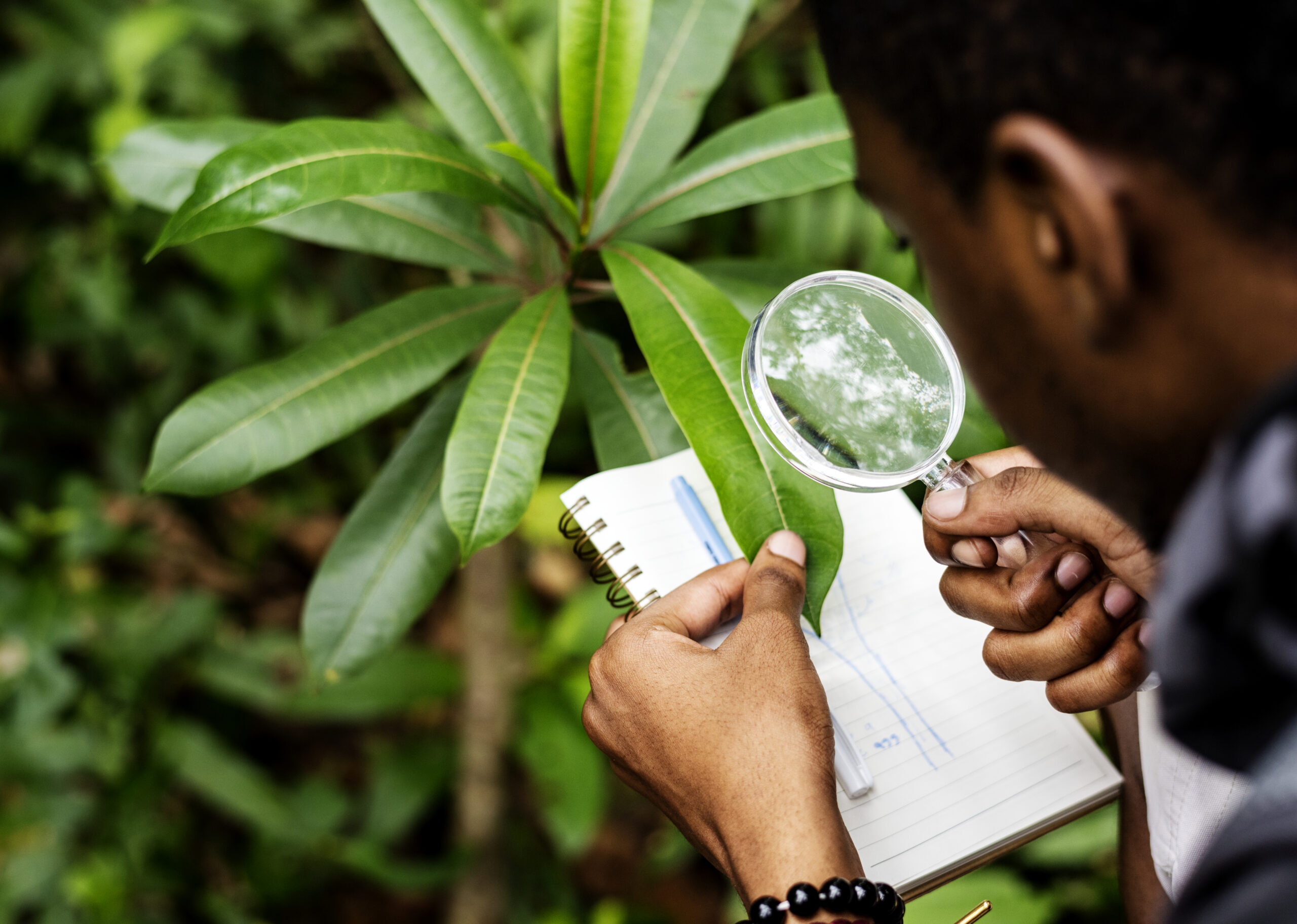 Sustainability and environmental assessment
