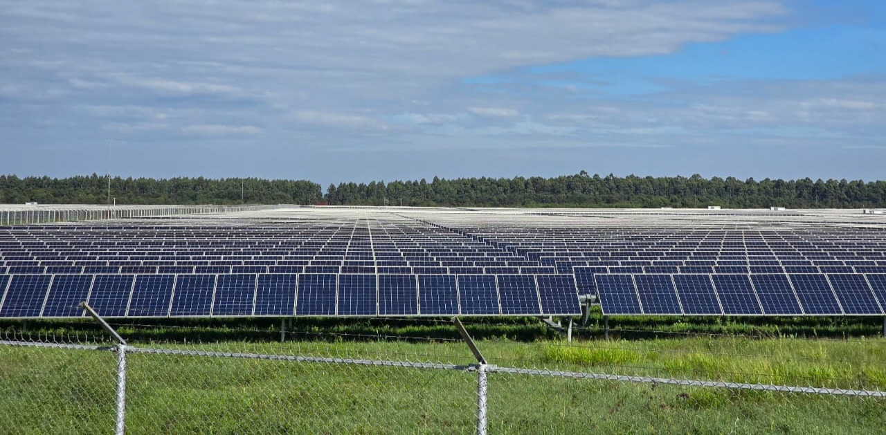 Climate strategy and renewable energy