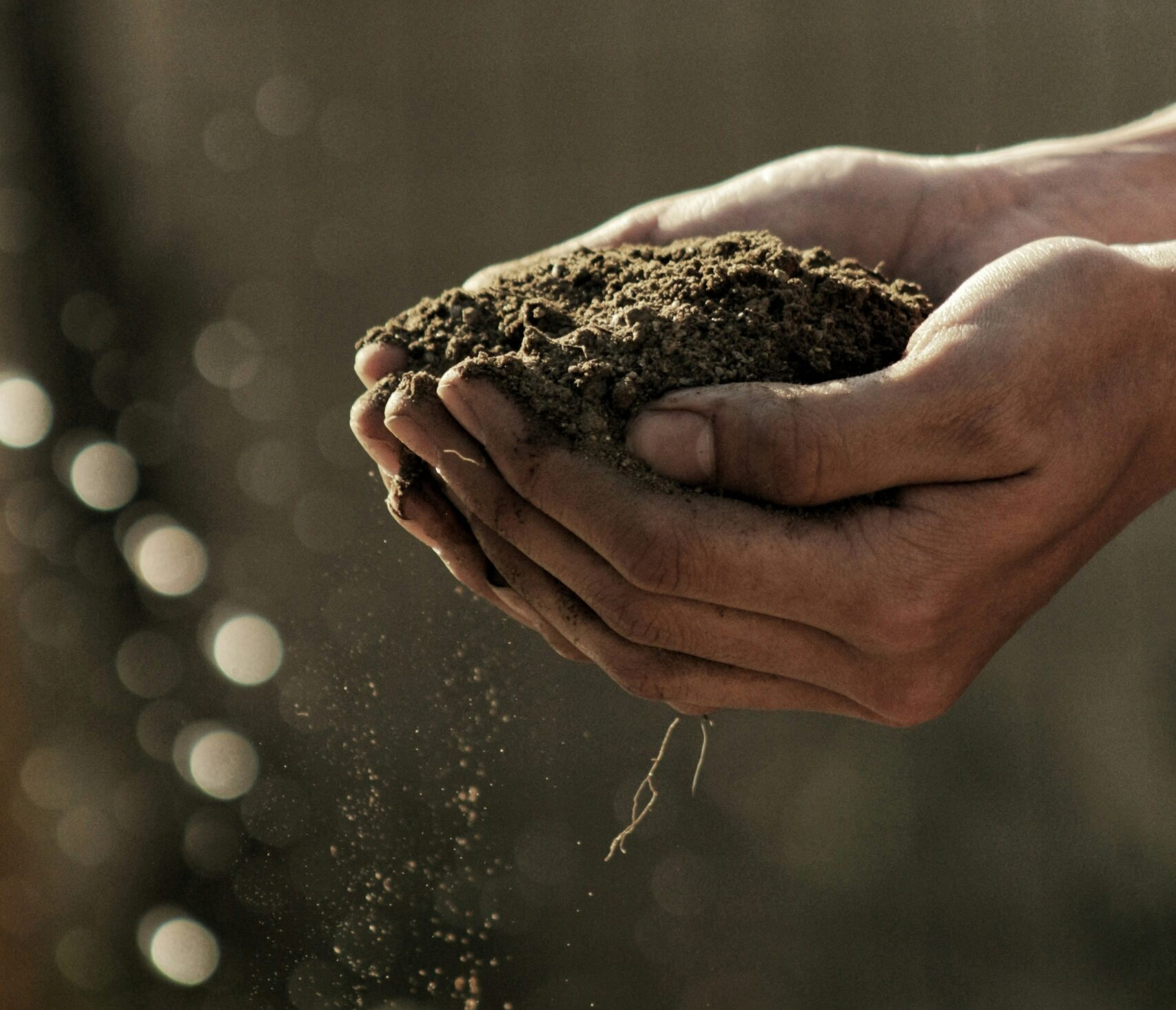 Sustainability strategy and environmental impact