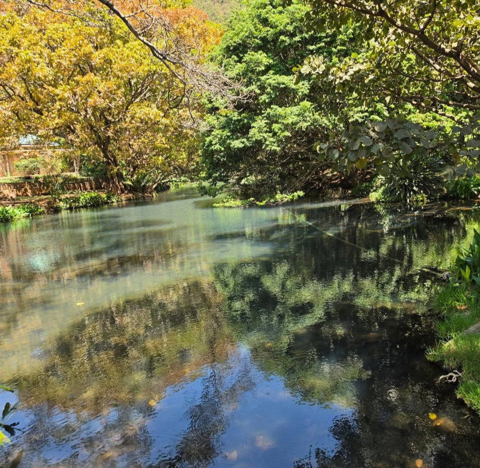 Natural environment and sustainable future