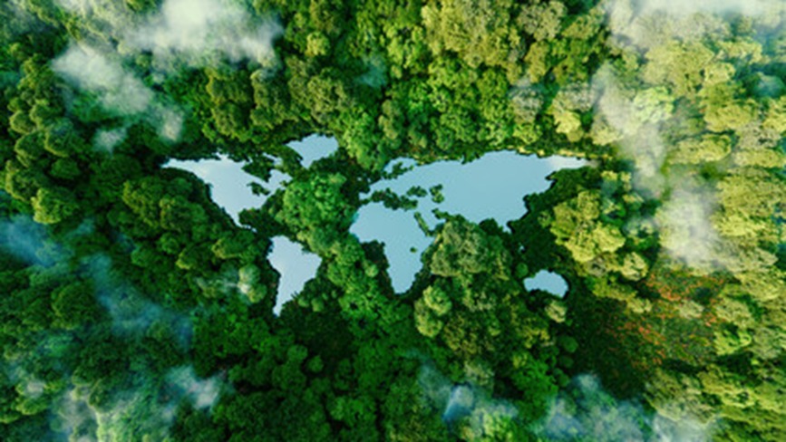 Sustainability and carbon consulting