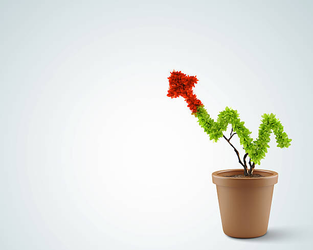 Sustainability Reporting